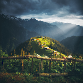 Banner