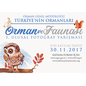“Orman ve Faunası” fotoğraf yarışması başladı