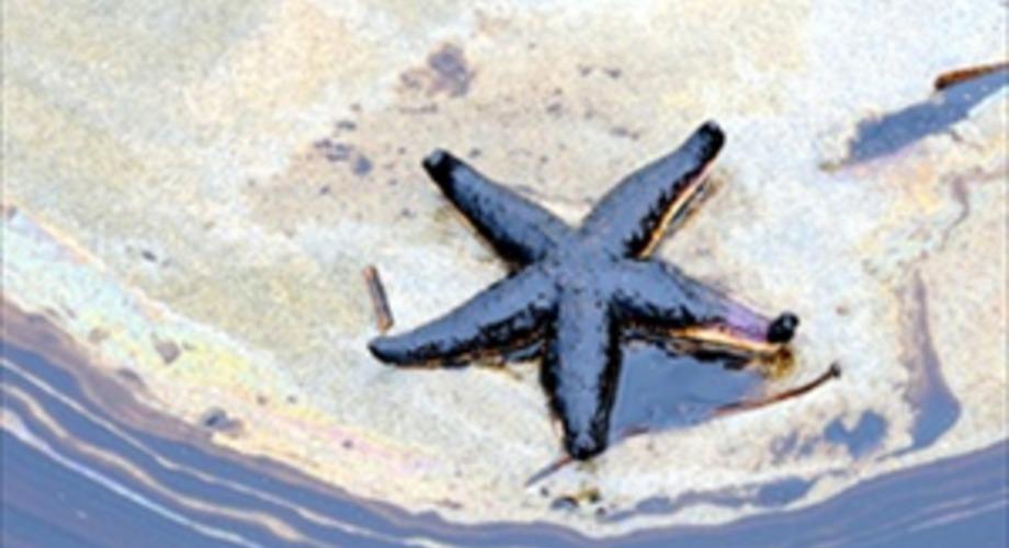 The invisible face of oil pollution in the oceans