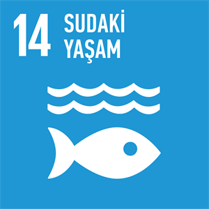 Sürdürülebilir Kalkınma Hedefleri: Sudaki Yaşam