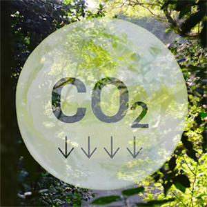 Dartington Declaration from scientists  u