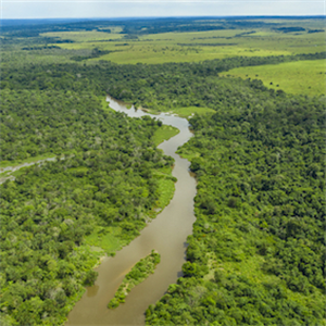 The world’s largest carbon swallow risk