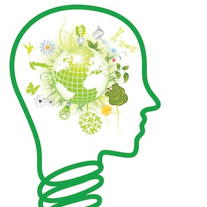 METU Green Brains looking for
