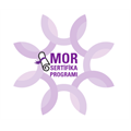 Mor Sertifika 10 yaşında
