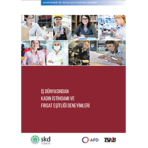 Women’s Employment and Opportunity Equality Experiences Report from Business World