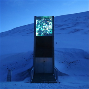 Safeguarding the seeds of the world