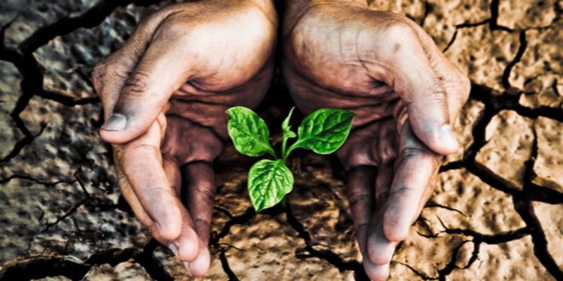 TEMA Vakfı’ndan kuraklığa dirençli tarım yöntemleri rehberi