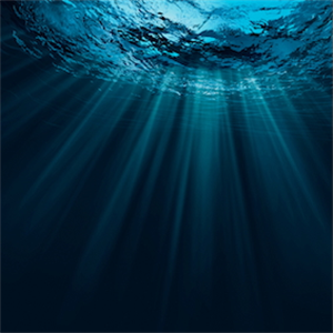 Ocean facts in 2025 Home