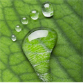 The water footprint of Turkey is determined