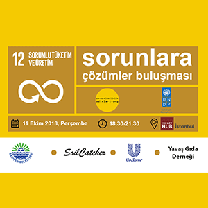 Responsible Production and Consumption Will be discussed in Solutions Meeting for Problems