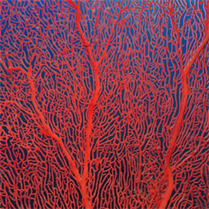 The reefs damaged by the climate crisis will be revived with 'charges'