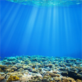 ‘Good news even though Climate crisis ’