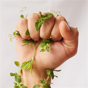 manifesto for a sustainable future