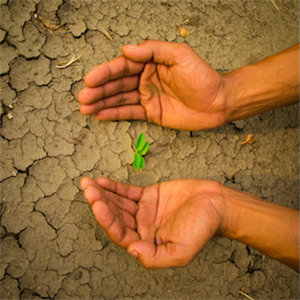 Guide to farming methods that are resistant to drought from TEMA Foundation Home