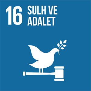 Sustainable Development Goals: Peace and Justice
