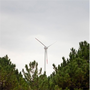 Boğaziçi Üniversitesi Sarıtepe Kampüsü sürdürülebilir enerji laboratuvarına dönüşüyor