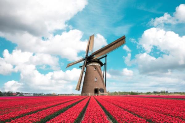 Hollanda iklim politikalarını vatandaşlarla birlikte şekillendiriyor