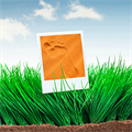 How to minimize soil footprint?