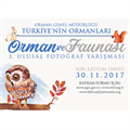 “Orman ve Faunası” fotoğraf yarışması başladı