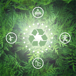 The correct use of technology will protect the ecological balance