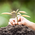 Compost benefits