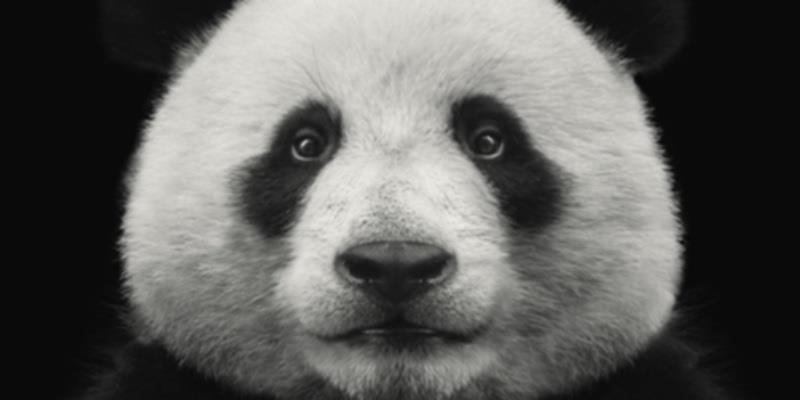 Meet 10 types that are rotated from the threshold of being None