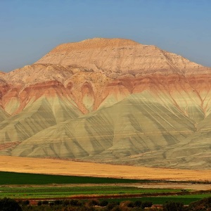 Erosion Challenge Week: 10 hectares area per minute in the world, mulching land