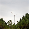 Boğaziçi Üniversitesi Sarıtepe Kampüsü sürdürülebilir enerji laboratuvarına dönüşüyor