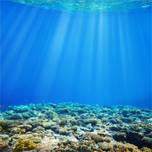 ‘Good news even though Climate crisis ’