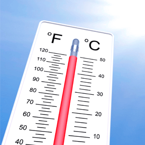 Dünya Meteoroloji Örgütü: Türkiye sıcak hava dalgası nedeniyle sıkıntı yaşayacak