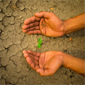 Guide to farming methods that are resistant to drought from TEMA Foundation Home