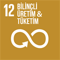 Sürdürülebilir Kalkınma Hedefleri: Sorumlu Tüketim ve Üretim