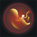 Air pollution in the mother's stomach!