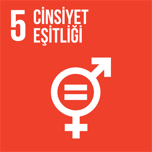 Sustainable Development Goals: Gender Equality