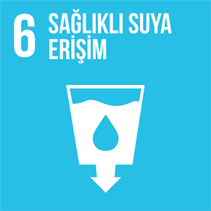 Sürdürülebilir Kalkınma Hedefleri: Temiz Su ve Sıhhi Koşullar