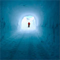 The memory of the calves is protected in Antarctica