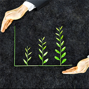 The key to sustainability success