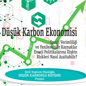 Low Carbon Economy: How Can Reduce Risks on Energy Efficiency and Renewable Resources Energy Policy?