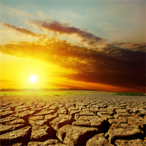 11 questions about climate crisis 11 as well as Tags