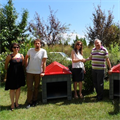 Cooperation for street animals from PAGDER and ITU