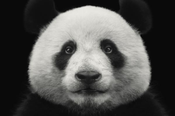 Meet 10 types that are rotated from the threshold of being None