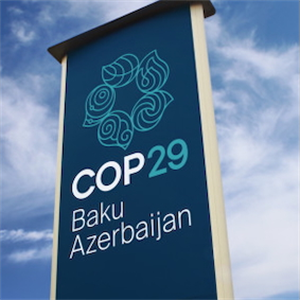 COP29: Dokuzuncu gün ne getirdi?