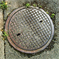 Biofuel from sewage mud