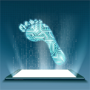Participation in Digital Cleaning Movement Tags