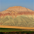 Erosion Challenge Week: 10 hectares area per minute in the world, mulching land