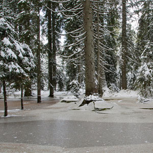 Photo ban on the lake holding ice