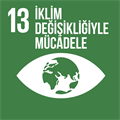 Sürdürülebilir Kalkınma Hedefleri: İklim Eylemi