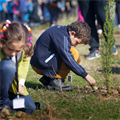 Cooperation for the environment from TEMA Foundation and Boğaziçi University