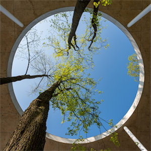 2026’s greenest cities were announced