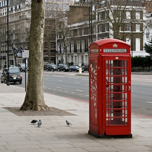 Londra'nın telefon kulübeleri yeşillendi